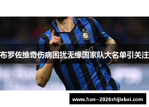 布罗佐维奇伤病困扰无缘国家队大名单引关注